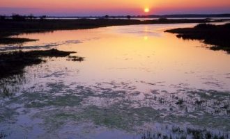 2019年公文写作范文：关于加快我市“绿道”建设的建议_国家公务员遴选2019