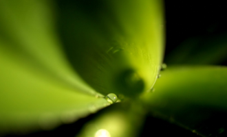 1021杜拉斯传_2020年安徽省公务员笔试培训