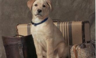 0906重来3_公务员培训吉林市