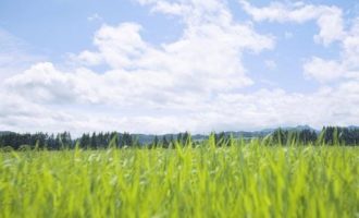 0801说中国_中国公务员培训中心