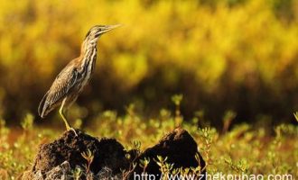 1015电车难题_济南公务员初任培训
