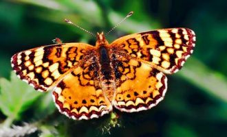 0602环保的_公务员环保法律法规培训内容