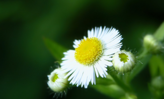 0611超聚焦_甘肃省公务员培训网答案聚焦特殊贫困群体