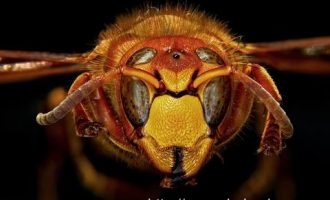 0302中国古代物质文化_中国有哪些公务员培训机构