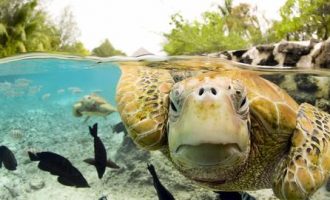 0118心理治疗之路_鄂尔多斯东胜区公务员培训班