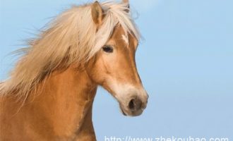 0528 《怀疑派纲要》 刘玮解读_广西公务员培训 党的十八届三中全会精神解读 汇总试题扩答案