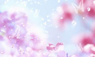 2019年公文写作范文：“银发聚力彩云南”文山州系列活动倡议书_国家公务员遴选2019