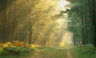 2020年晋城市遴选热点：准确把握发展大势 坚定转型信心决心_遴选考试出题机构