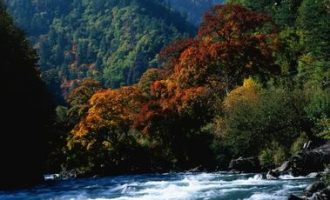 2020年江苏省遴选热点：坚持两手抓 夺取双胜利_2021年辽宁法院遴选员额法官