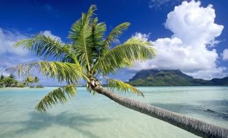 2020年案例分析热点素材：基层治理要用好“周转池思维”_2020中央遴选