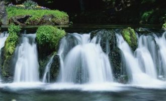 2020年纪委遴选热点：“减负”如何成了“减担当”_恩施州遴选刘安霖