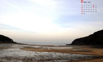 2019年公文写作范文：《深入学习浙江“千村示范、万村整治”工程经验扎实推进农村人居环境整治工作的报告》_2019遴选