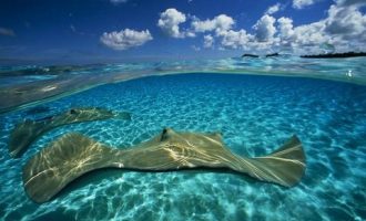 2019年公文写作经验：公文写作五“忌”_2019遴选