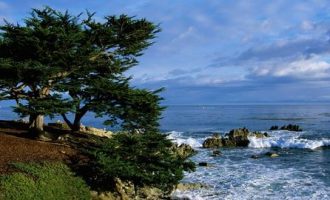 2020年领导讲话优秀范文：政府副旗长倪龙同志在察右后旗“全国扶贫日” 宣传活动上的讲话_2020中央遴选