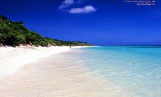 2020年领导讲话优秀范文：彭山在2020年春运暨道路交通安全工作电视电话会议上的讲话_2020中央遴选