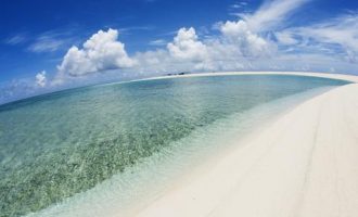 2020年青岛市遴选热点：切实增强党员 纪律意识_2015遴选