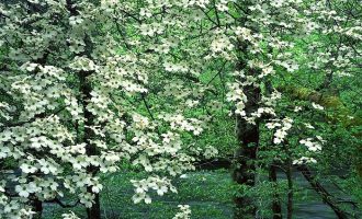 2019年兰州市遴选热点：打造精致兰州需内外兼修_小军师遴选