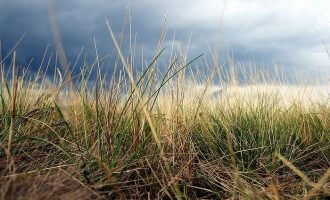 2019年公文写作范文：中共文山州司法局党委关于巡察整改情况的通报_2019年广西公务员遴选公告