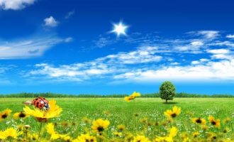 2019年甘肃省遴选热点：整治问题不手软_公务员 遴选