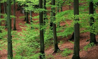 公文写作之遴选真题范例解析：做好社区戒毒康复工作的建议_山东省遴选