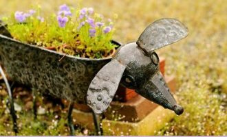 2020年赤峰市遴选热点：聚焦聚力高质量发展 决战决胜全面小康_江西遴选