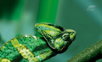 0715百万富翁快车道_公务员培训机构的收费