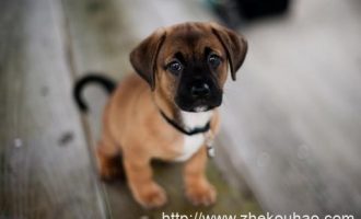 0923中古中国门阀大族的消亡_晋宁区公开选调公务员面试培训