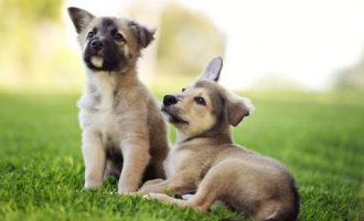 0614足球经济学_海口经济学院国兴校区公务员培训