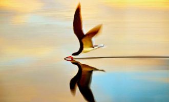 1029讲故事：中国历史上的巫术与替罪_不忘初心牢记历史公务员培训