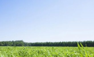 0103像一块滚石_宁夏公务员岗前培训是一块培训吗