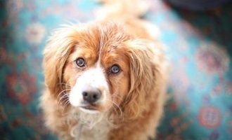 0426 《危机与重构》 卞恒沁解读_广西公务员培训党的十八届三中全会精神解读 改革完善农村宅基地制度