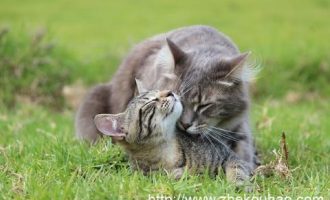 1203占有还是存在_公务员教育缺乏培训存在的问题