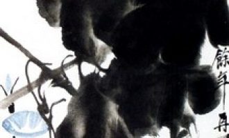 0214斯坦福商业决策课_跟毛主席学决策公务员培训