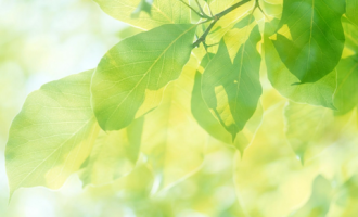 0121漫长的告别_告别天价培训公务员面试