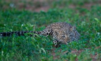 0318凯南日记_新任公务员培训日记