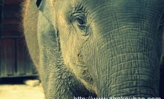 0411《如何学习》Pro版_广西公务员学习培训入口