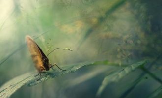 1029国歌_党校2020年新公务员培训视