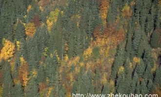 2019年公文写作技巧：情况通报的写作要求_公文遴选大课堂