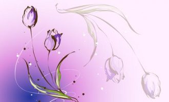 2019年领导讲话优秀范文：在陕西省调研扫黑除恶专项斗争时的讲话_2019衡水年遴选公示