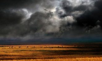 2020年法院遴选热点：以办法立规耕好党建“责任田”_2020濉溪县开发区遴选