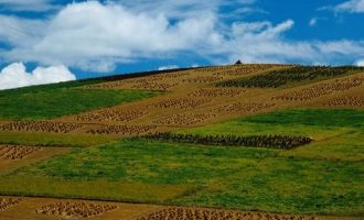 2019年公文写作范文：习近平给父亲的一封生日贺信_2019年广东省直遴选笔试真题