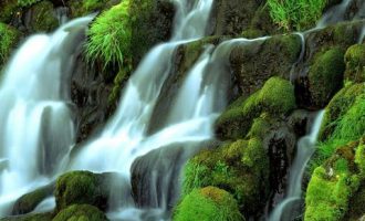 2020年领导讲话优秀范文：郑荣胜同志在2020年市总工会老干部工作情况通报会上的讲话摘要_2020年宁夏自治区遴选