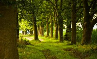 十八般武艺都精通的基层干部_基层干部