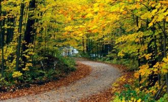 四任书记升正部，这个市何以成为高官“摇篮”？_高官