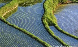 借调这两年，后悔了！_检察干部