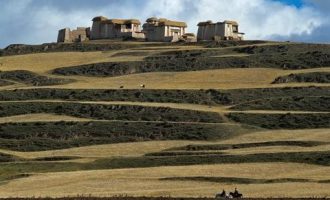 一位小学生天天看《新闻联播》，竟然写出这种作文…_书记