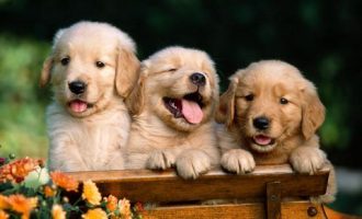 美轮美奂！6位市委书记2021述职报告！供大家研习！_庆阳市委书记