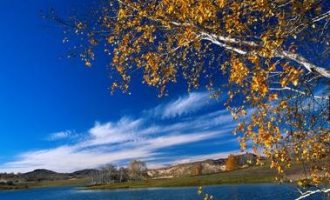 省委领导批评办公室主任：天天用磨刀似的写材料，非得把那点钢磨光才算完！_河南省委书记