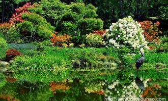 这份职级晋升述职报告，堪称经典范文！_工作报告范文