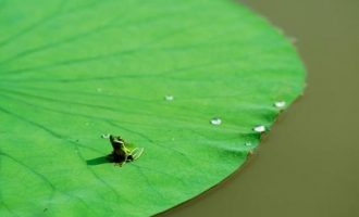 男女洗澡前后区别，太形象了！_汇报材料格式